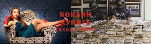 сатива Лагань