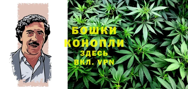 сатива Лагань