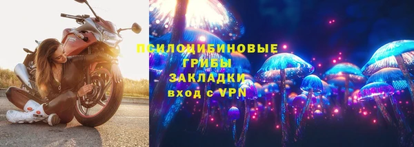дурь Фёдоровский