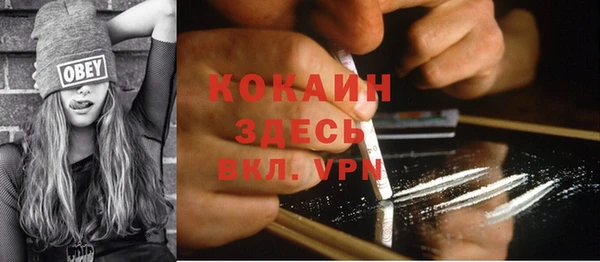 сатива Лагань