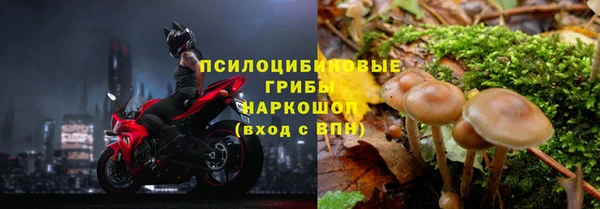 кокаин премиум Ладушкин