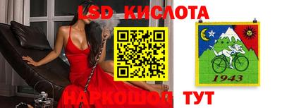 spice Гусев