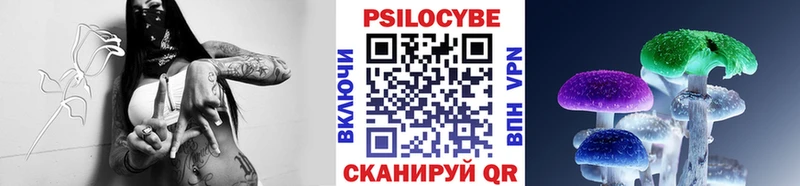 Галлюциногенные грибы Psilocybe  Минусинск 